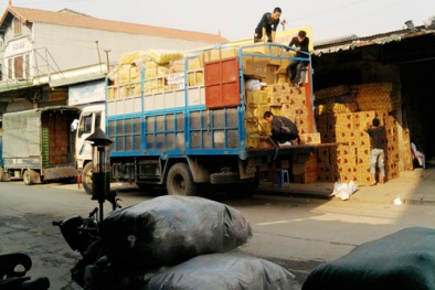 La Phù tràn ngập hàng Tết giả, nhái